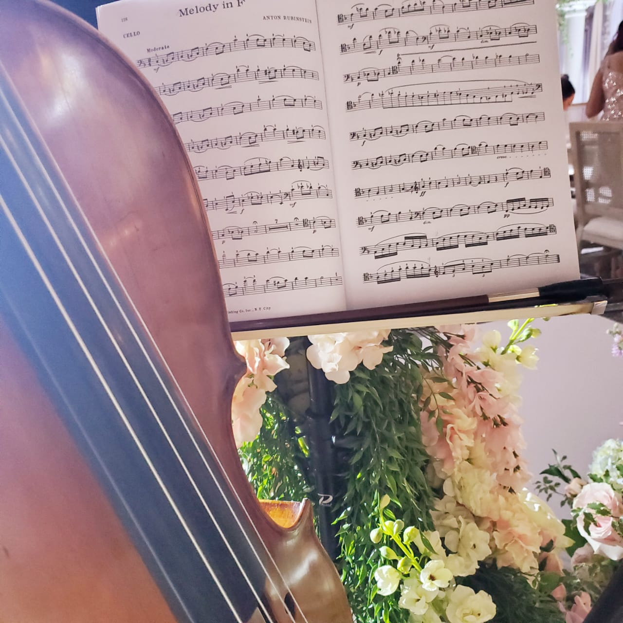 Close-up detail of a cello